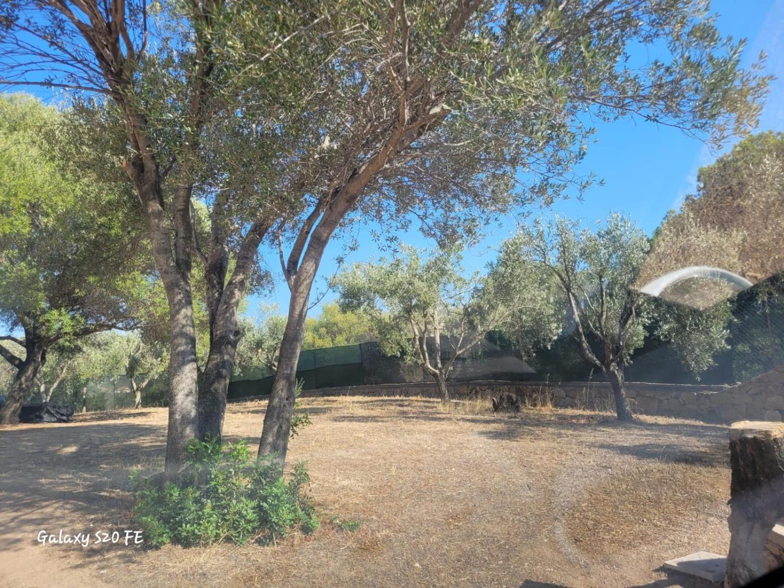 Apartament Residenza Degli Ulivi Olbia Zewnętrze zdjęcie