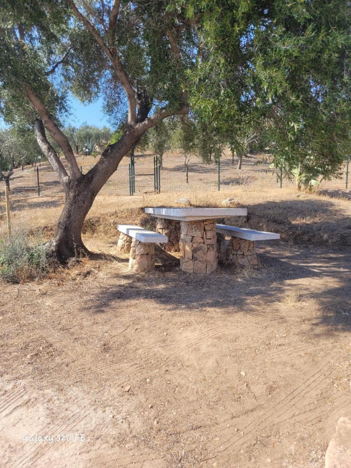 Apartament Residenza Degli Ulivi Olbia Zewnętrze zdjęcie