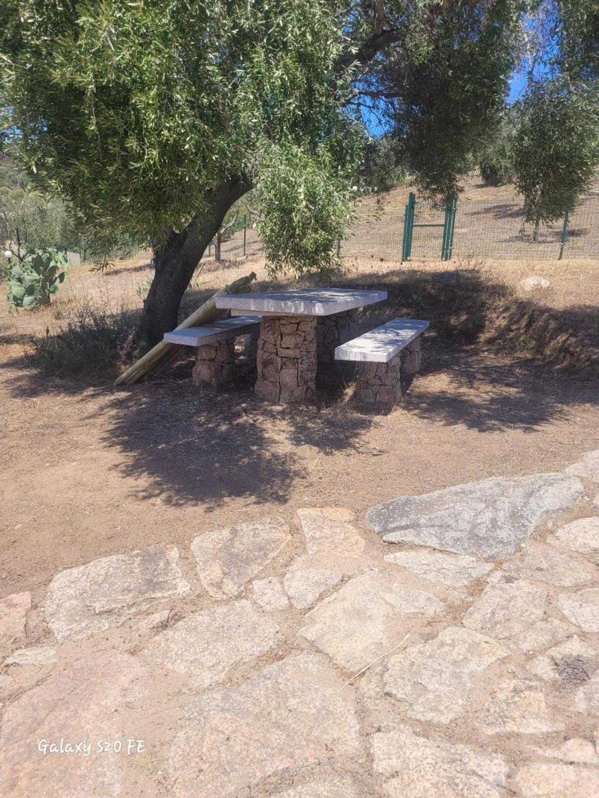 Apartament Residenza Degli Ulivi Olbia Zewnętrze zdjęcie